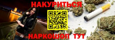 сатива Гатчина