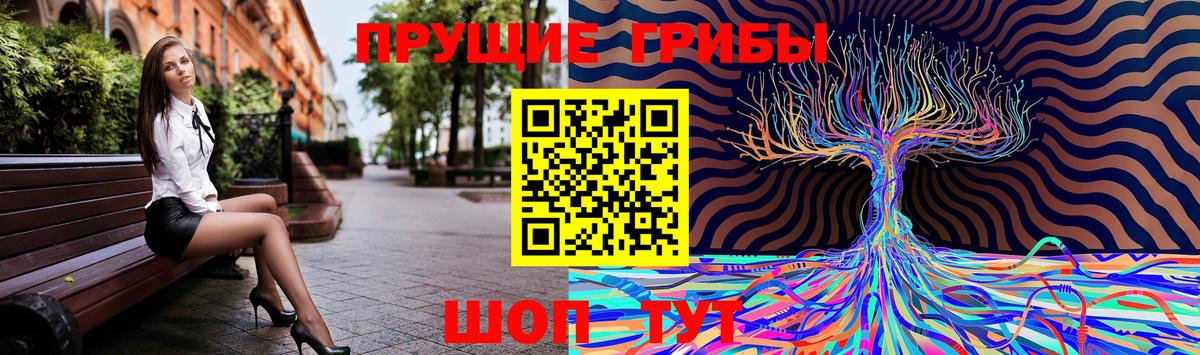 Одинцово  Псилоцибиновые грибы Cubensis  Вход с VPN 