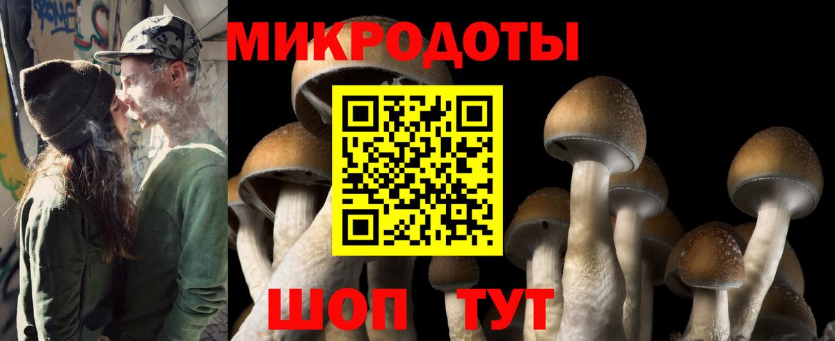 Псилоцибиновые грибы MAGIC MUSHROOMS Одинцово